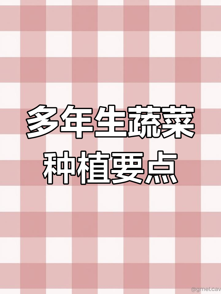 多年生蔬菜与杂类栽培技巧,轻松掌握