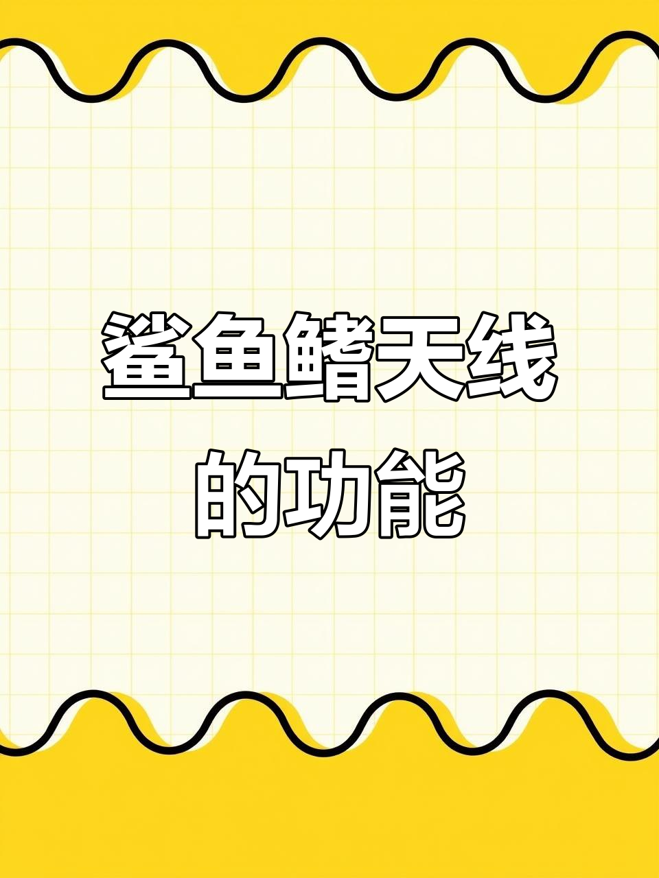 鲨鱼鳍天线:汽车信号与气动设计的完美结合