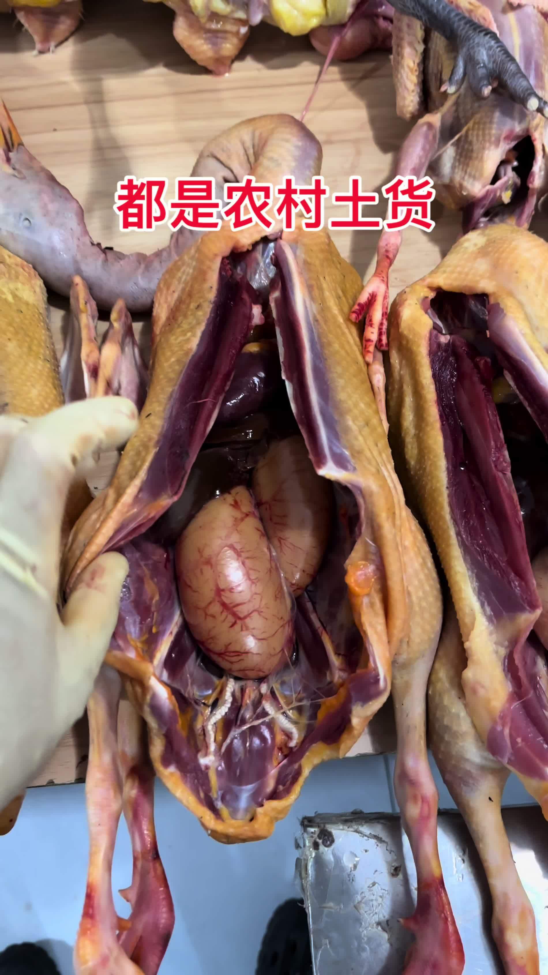 都是农家土货老母鸡老鸭老鹅11:30开播快来挑选 真材实料才能做出好味道 优质农产品 老母