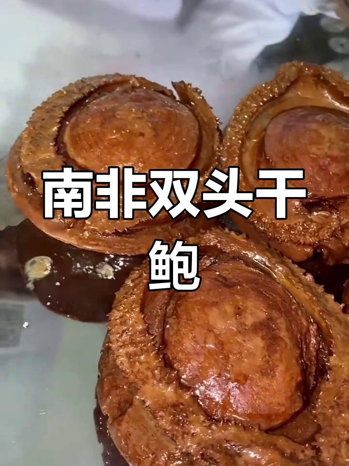 双头南非鲍鱼
