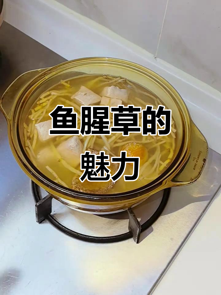 鱼腥草汤，广东人最爱！独特风味让人一试成主