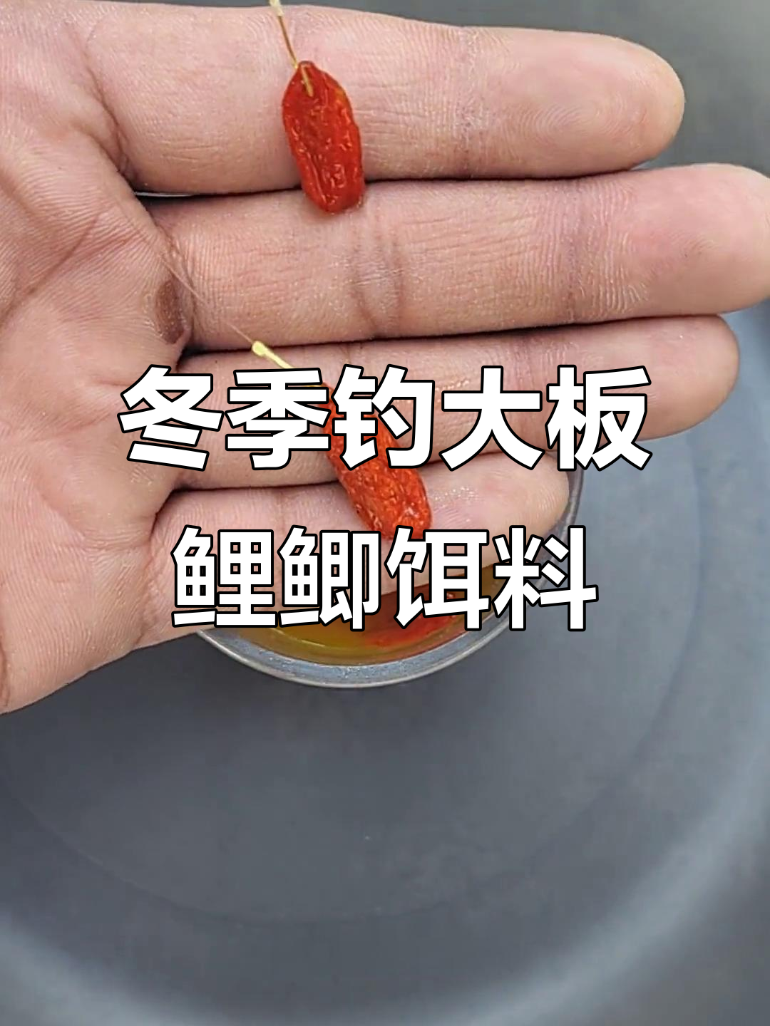 秋冬钓鱼必备！干枸杞搭配维生素B2，诱鱼效果惊人
