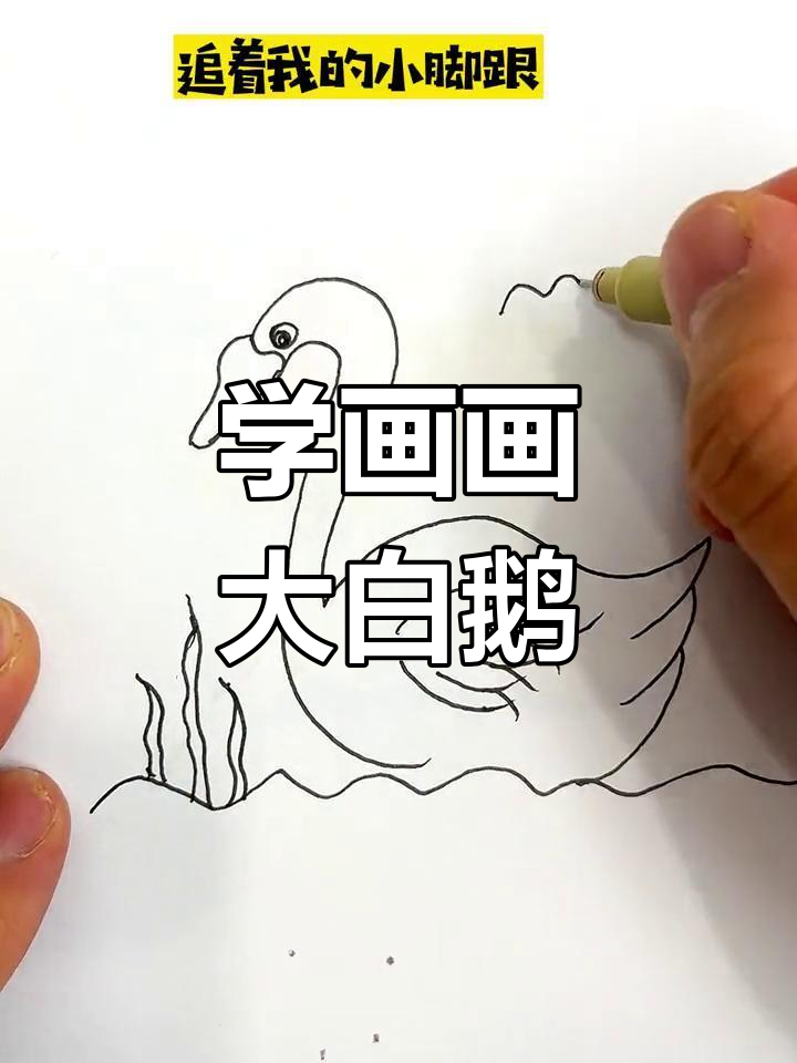 画大白鹅,学鸭舌帽和翅膀