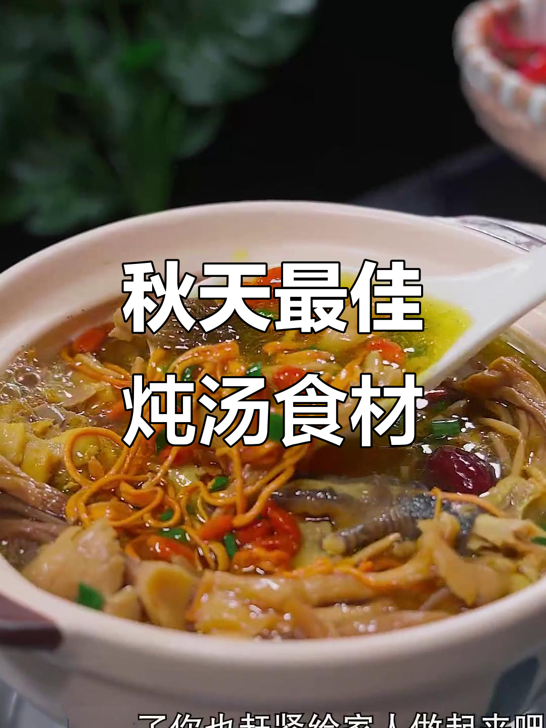 秋季滋补炖汤,松茸菌菇与老鸡汤搭配最鲜美