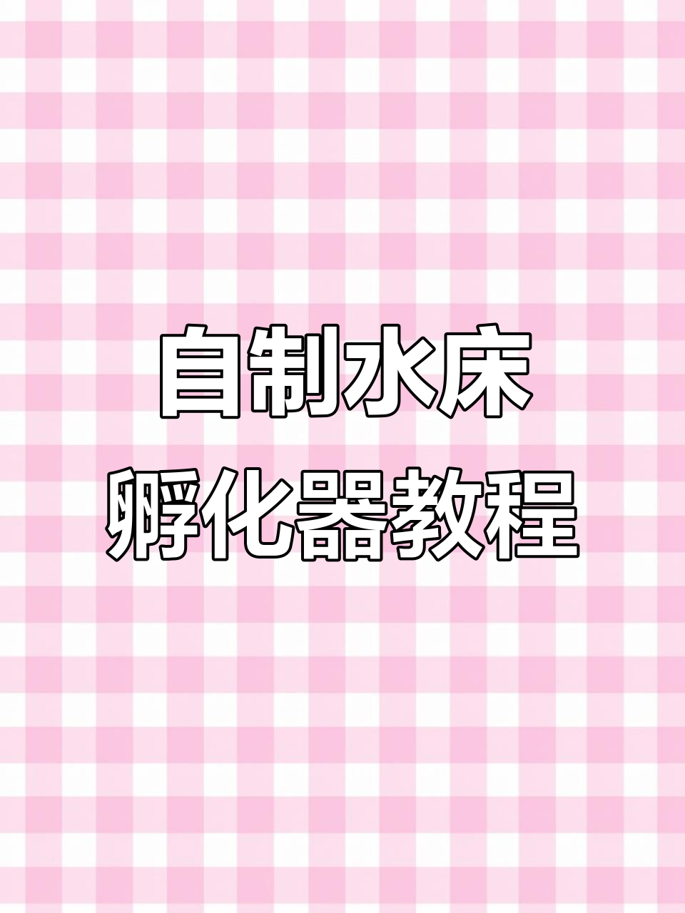 手搓水床孵化器教程,轻松DIY打造温暖孵蛋环境