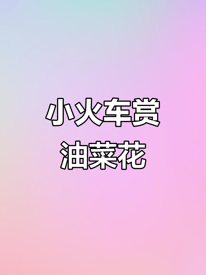穿越百年蒸汽火车，畅游三千亩油菜花海