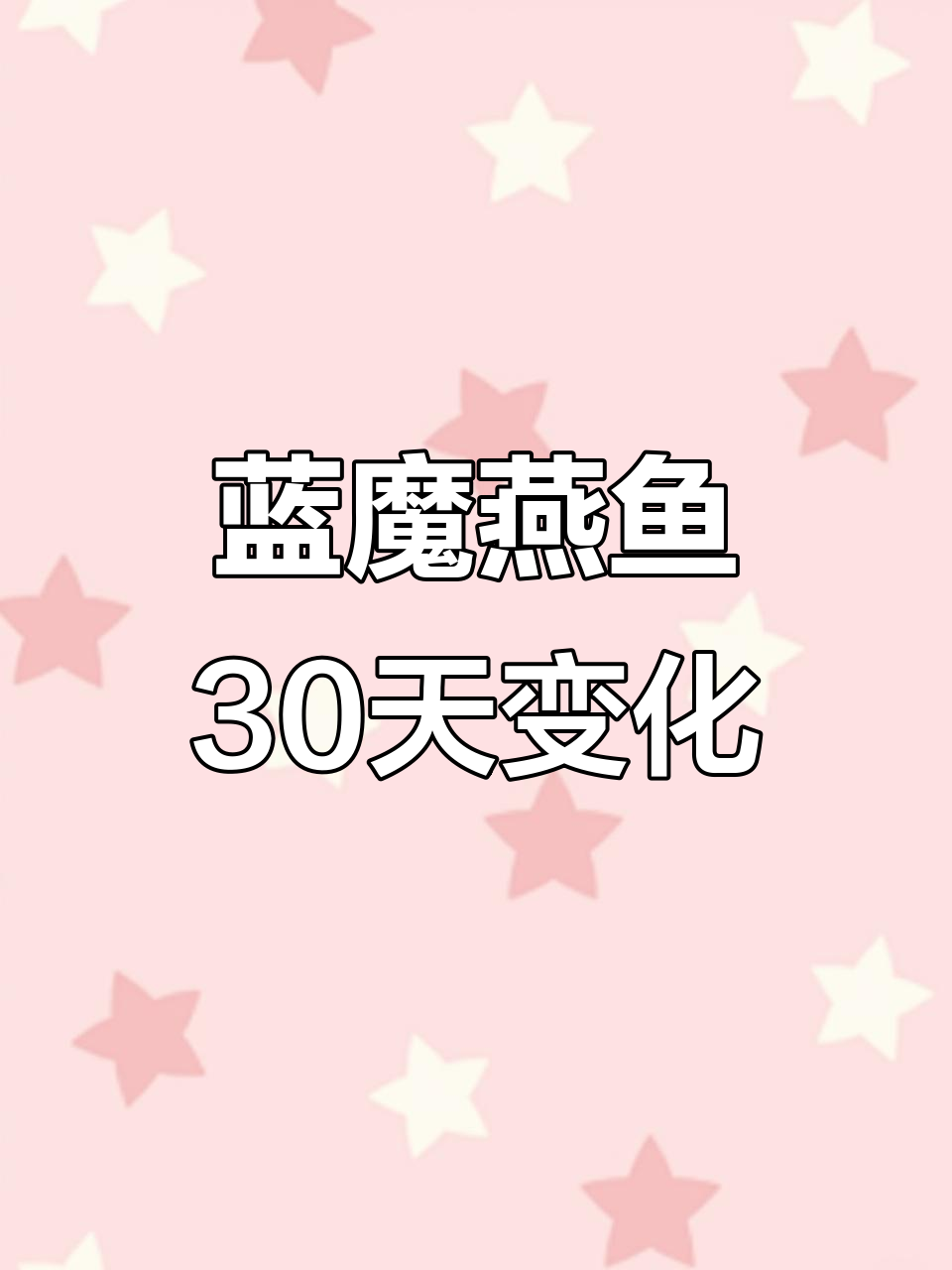 蓝魔燕鱼30天成长记:从芝麻大小到帅气小伙