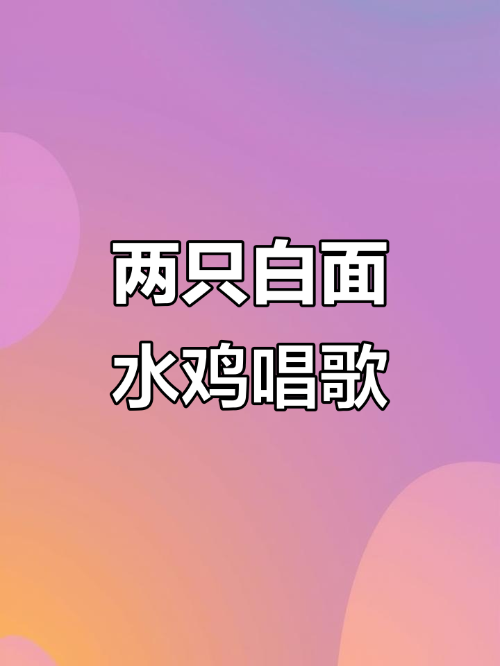 白面水鸡四季歌唱,竹林里的美妙旋律