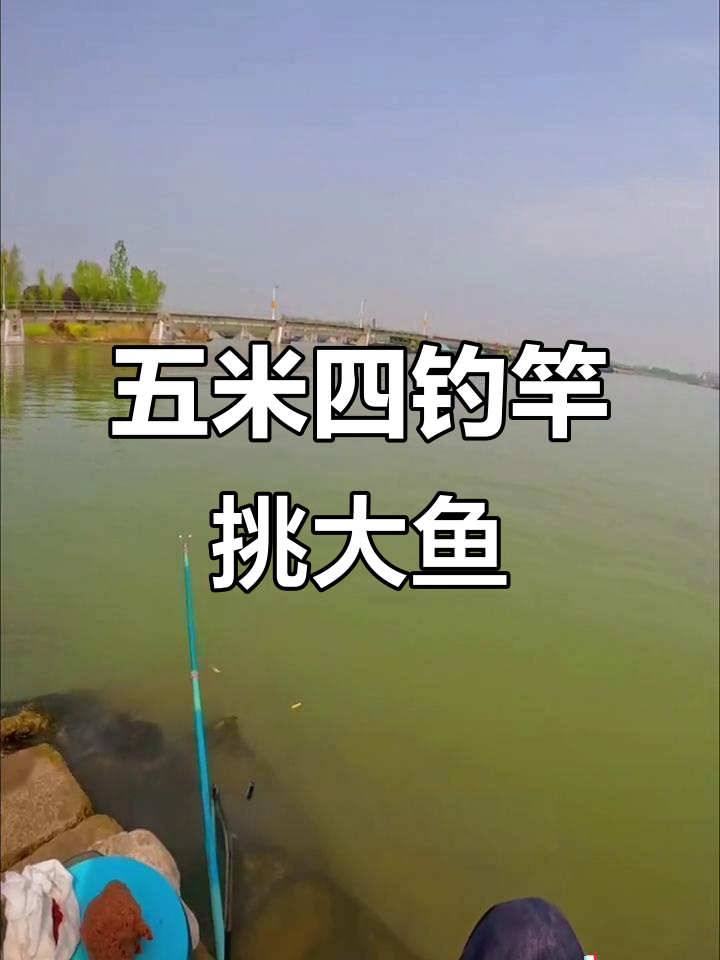 甲口附近大鱼成群,五米四钓竿能否挑战极限?