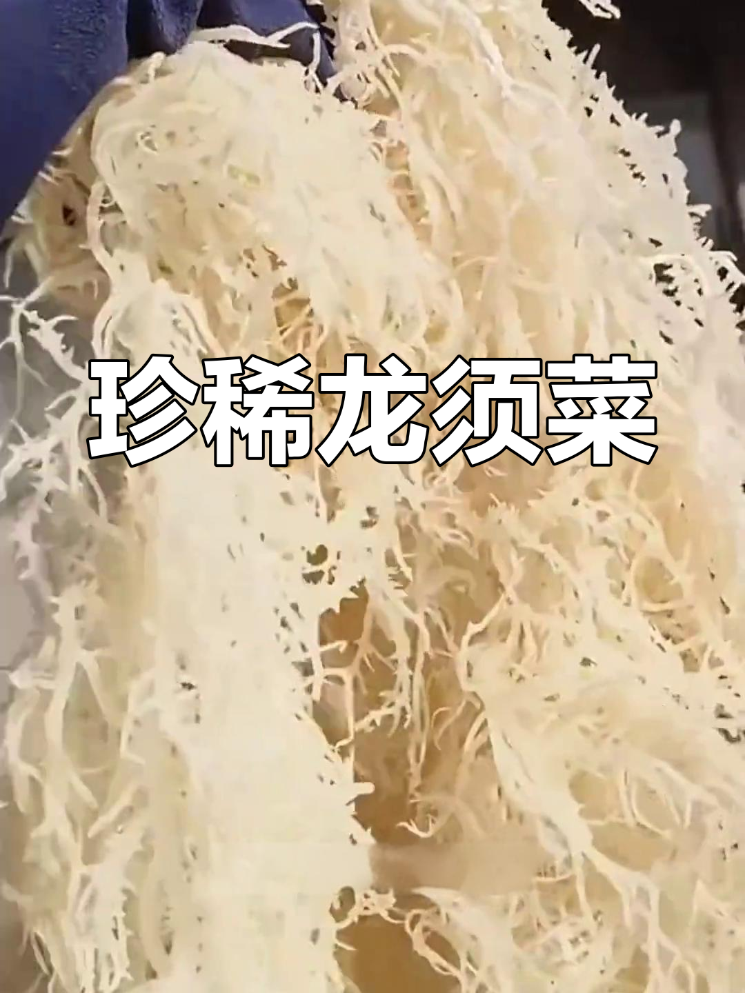 龙须菜,形似龙须,珍贵素食之选