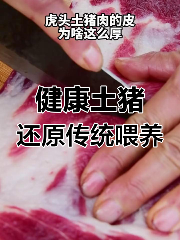 深山慢养老品种土猪肉,厚皮高营养