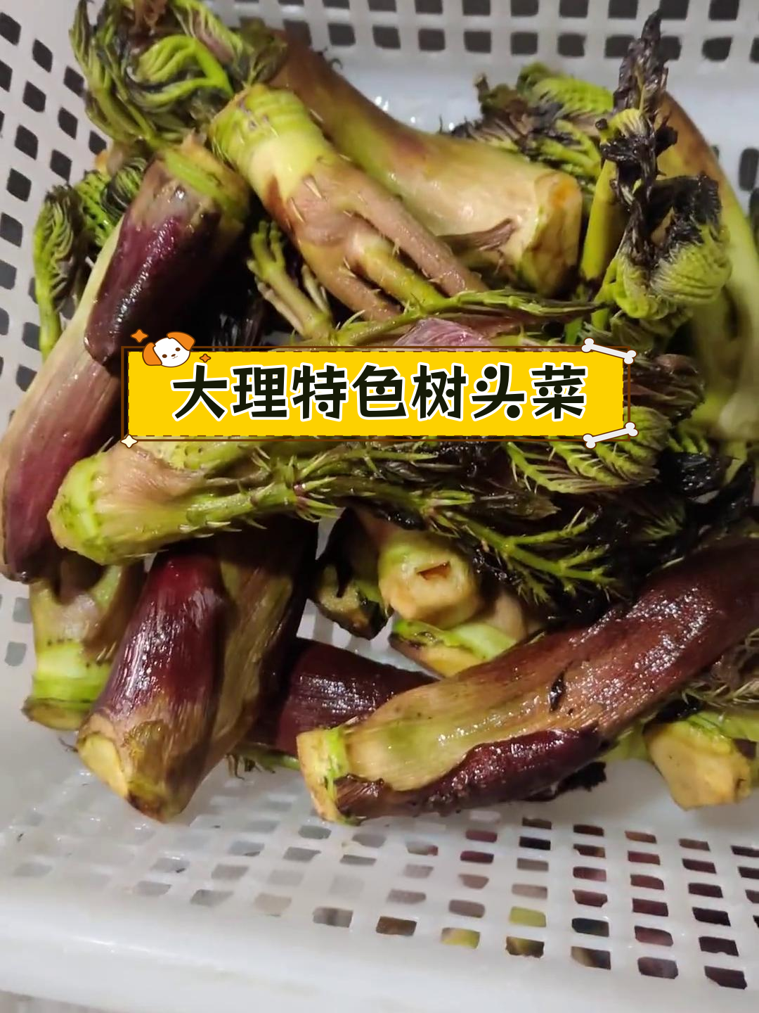 春天必吃的树头菜,腊肉炒法最香