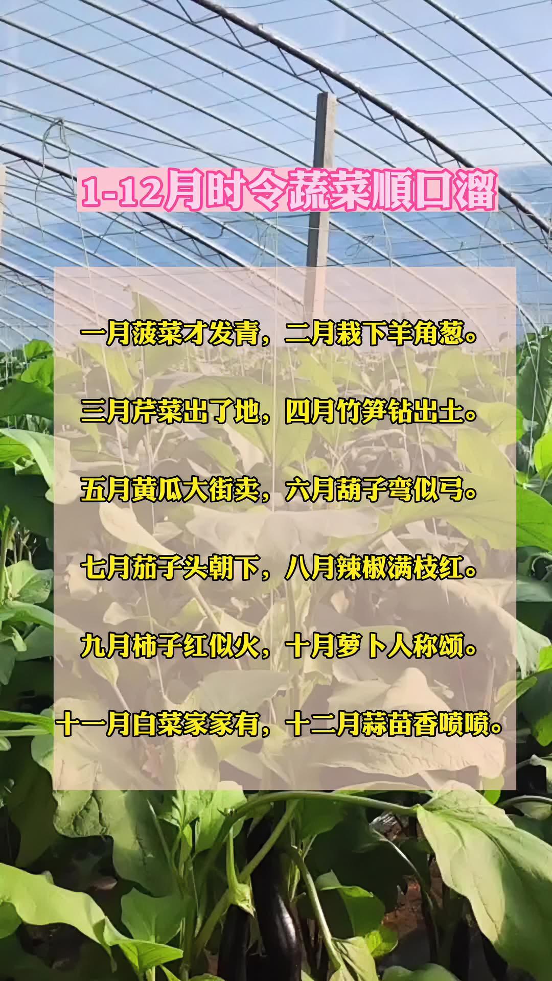 1-12月时令蔬菜顺口溜 农业种植技术 三农 农技知识分享