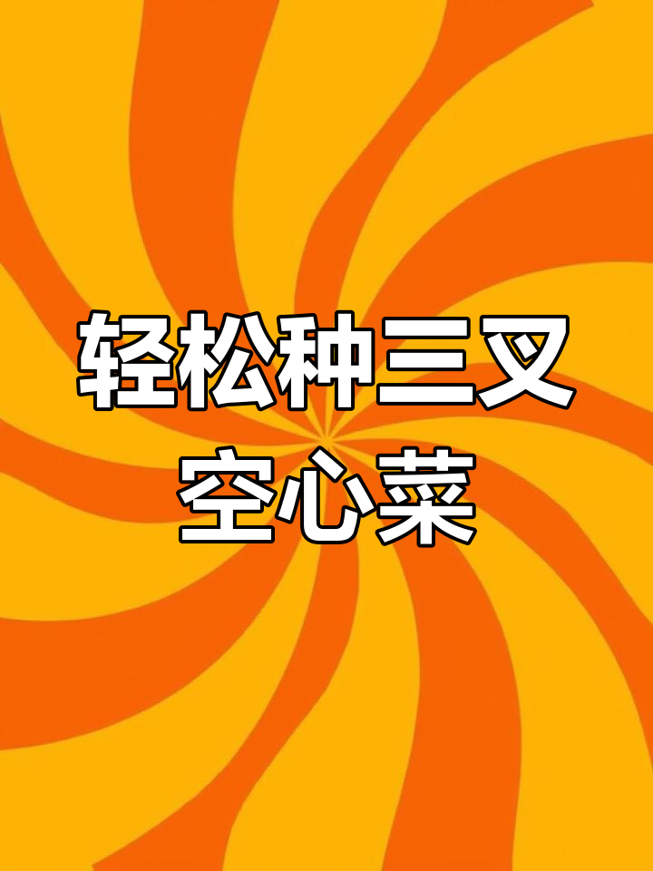 三叉空心菜,翠绿口感佳,种植简单,适合新手!