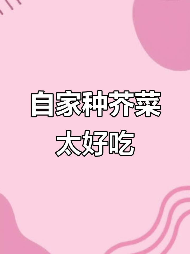 自家种的芥菜苗,炒出来鲜嫩无比,配芹菜更美味