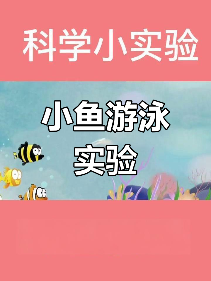 洗洁精与水反应,小鱼仿佛在水里自由游动