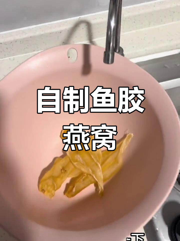 鱼胶燕窝炖法分享