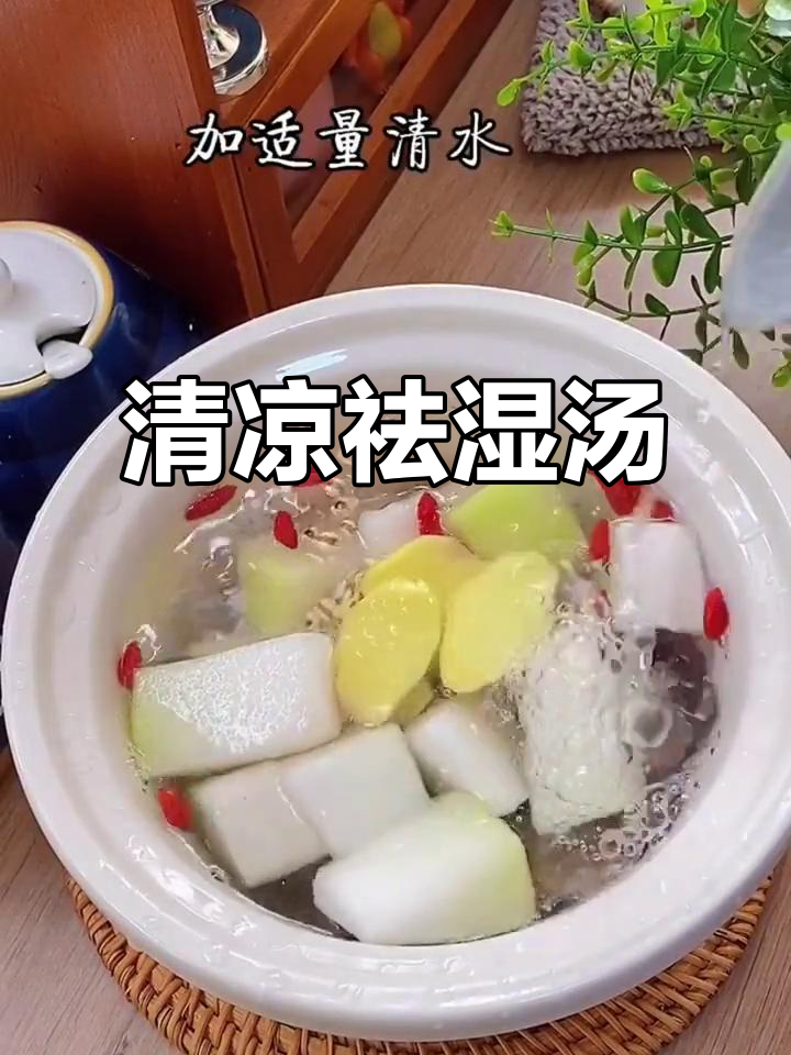 冬瓜老鸭汤,清热利湿、消痰止渴,夏季解暑佳品