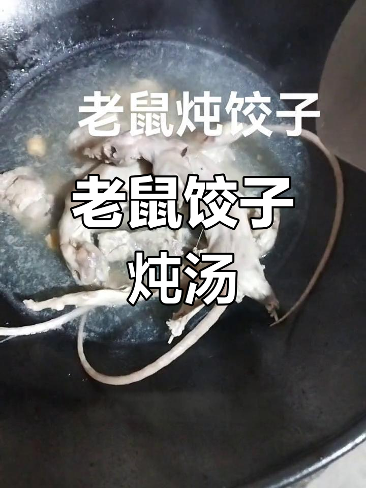 东北老鼠饺子,速冻水饺与排骨汤的完美结合