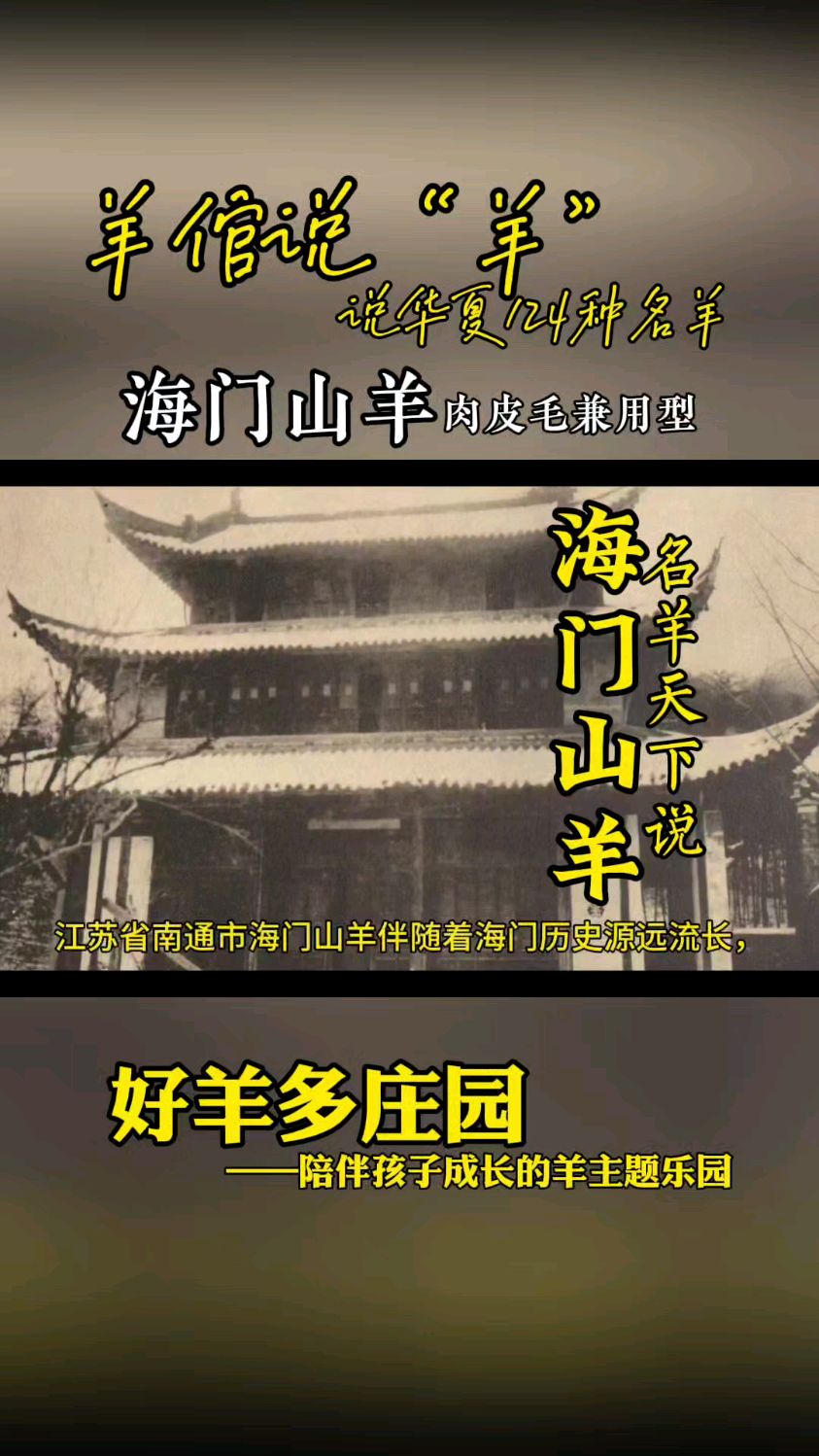 海门山羊肉好吃吗?