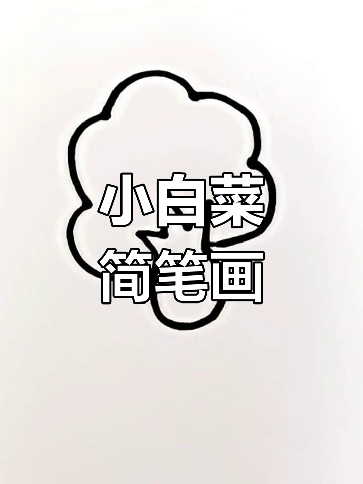 简单几步画出小白菜