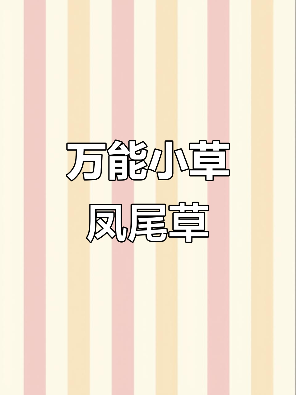凤尾草:大自然的“万能小助手”,解决各种问题
