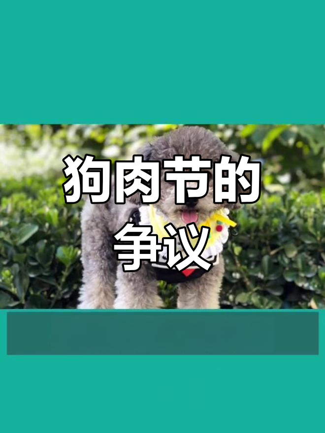 玉林狗肉节:传统与保护的冲突