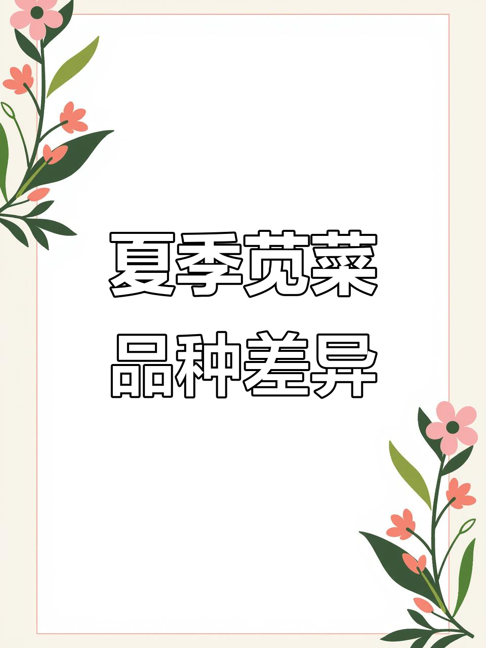 夏季常见苋菜品种大揭秘，不同类型的特点与区别