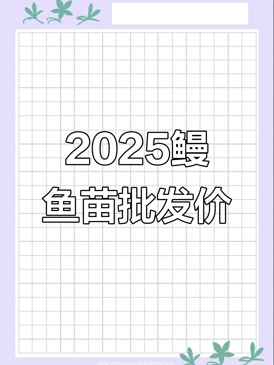 2025年鳗鱼苗价格大揭秘,广东各地批发价一览
