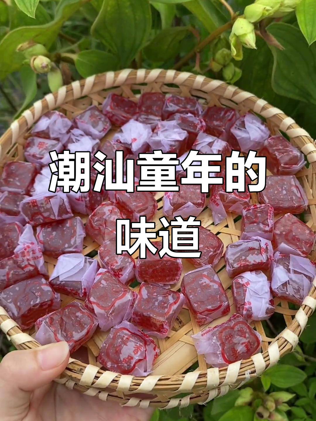 胶已人童年记忆里的猪油糖与肚脐酥,满满都是家乡味
