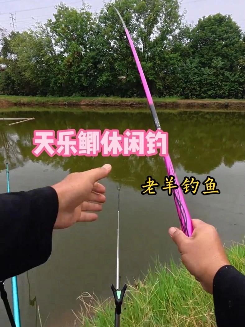 天乐鲫,钓鱼王发力之作,想要手感轻手感好,又想钓力值大,选它准没错#鲫鱼竿 #鲫鱼竿推荐 