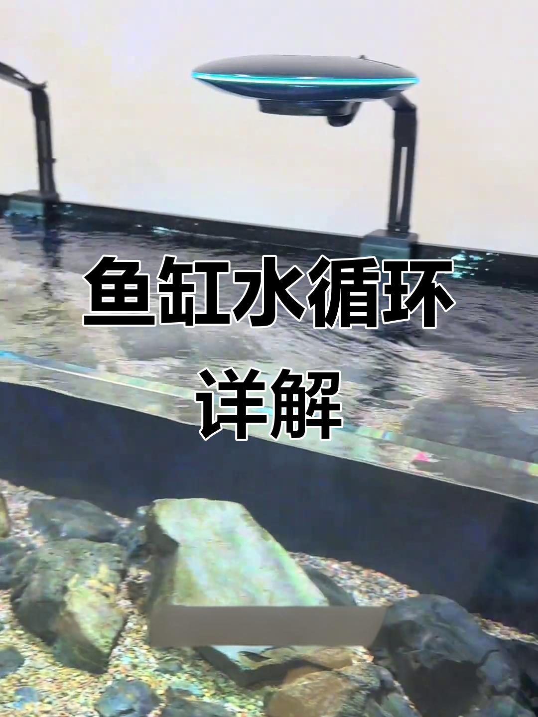 鱼缸底滤循环全解析:从进水到出水的完整流程