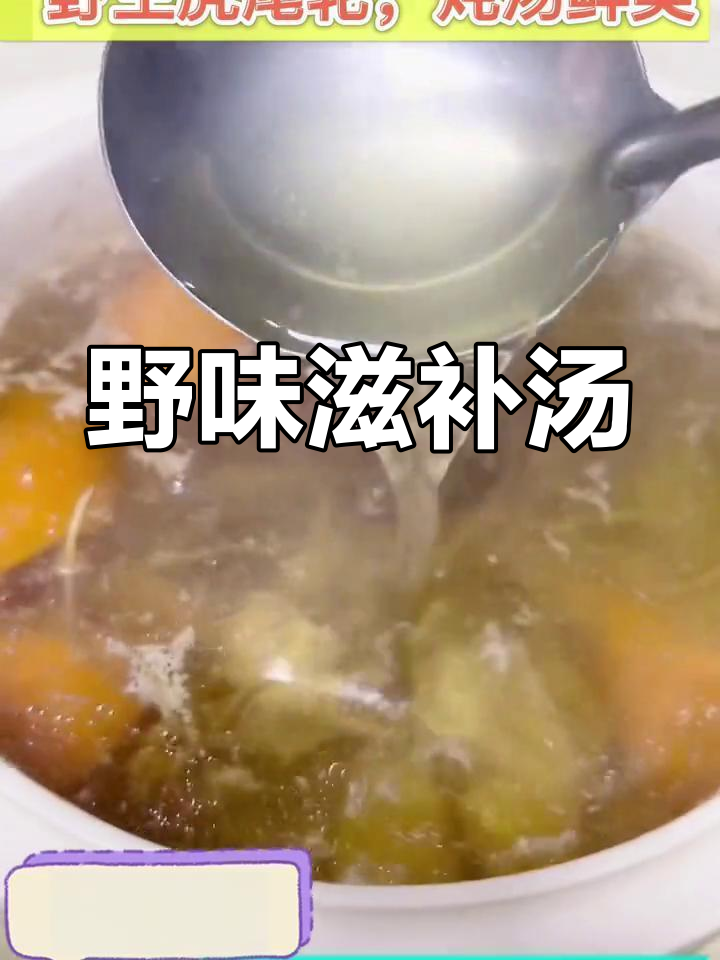 野生虎尾轮,炖汤鲜美,消食开胃,清热解毒