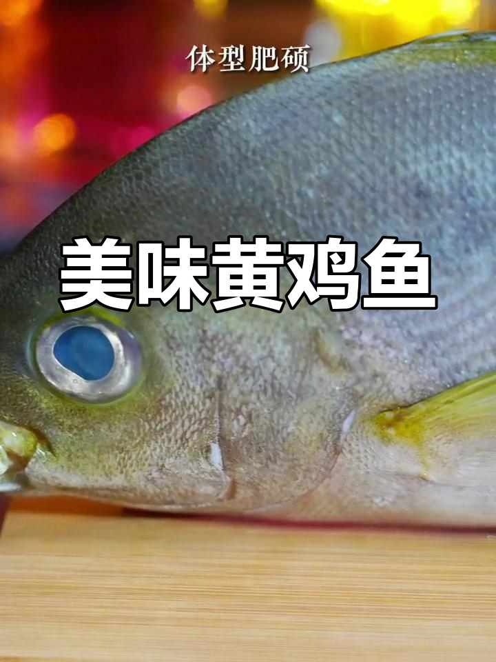 黄鸡鱼鲜嫩可口,色香味俱全,赶紧试试吧!