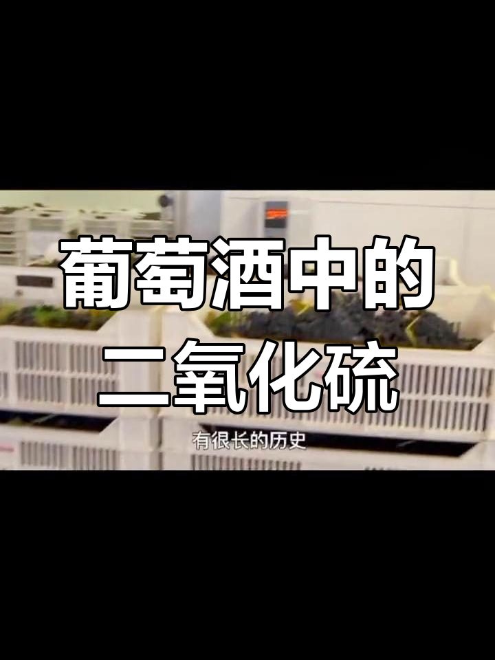 二氧化硫在葡萄酒中,其实对人体无害,放心饮用!