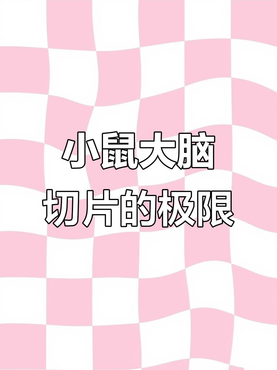 科研员用25000层切片揭示小鼠脑组织结构