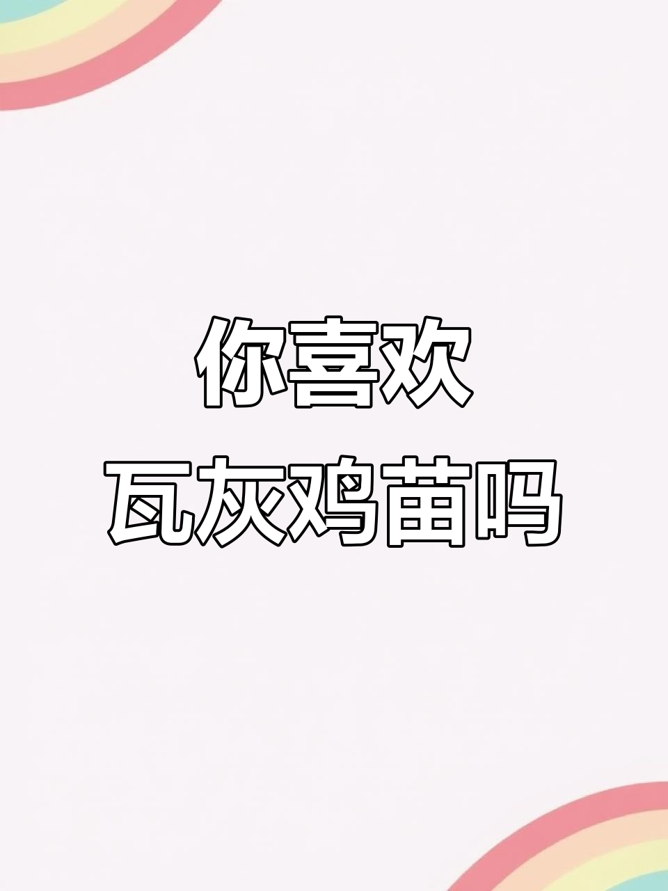 瓦灰鸡苗,你了解吗?