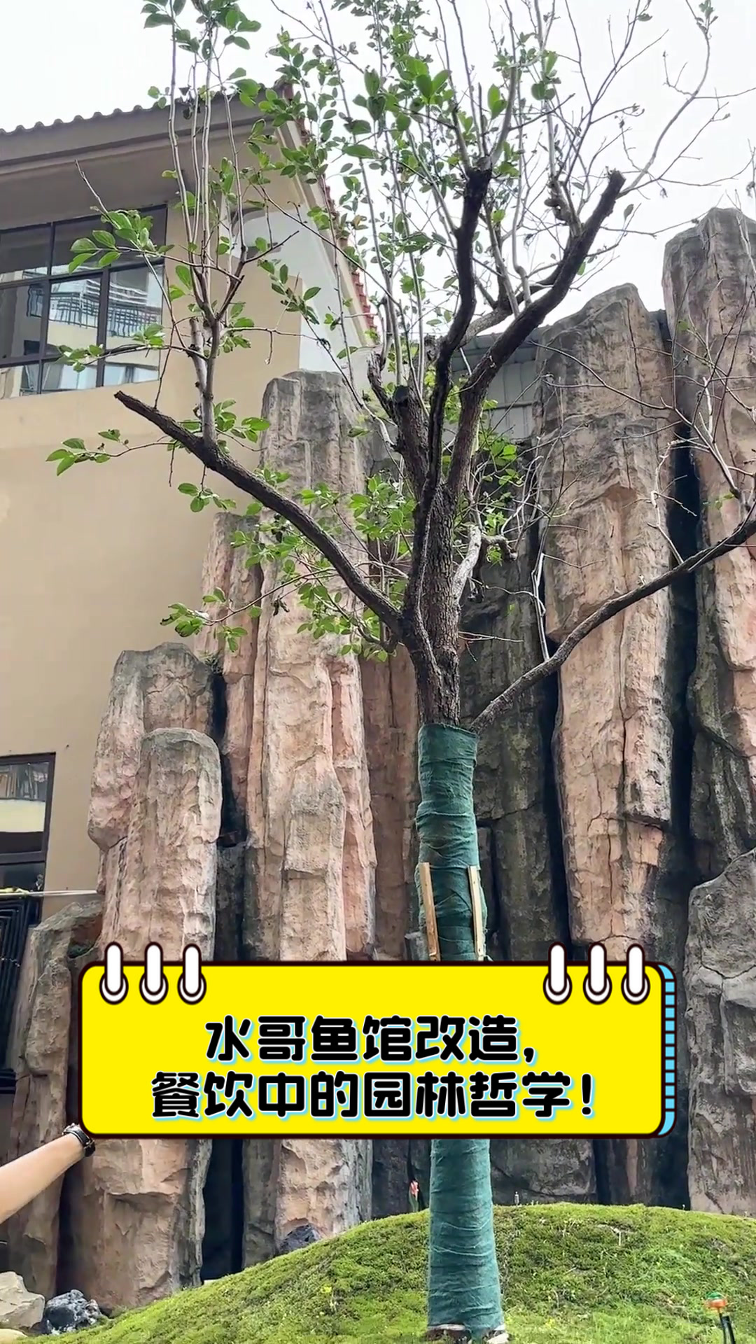 水哥鱼馆改造，餐饮中的园林哲学！