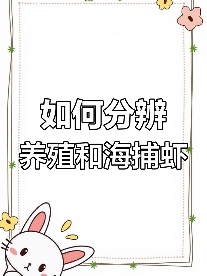 养殖虾与野生虾如何区分?掌握这些技巧轻松辨别