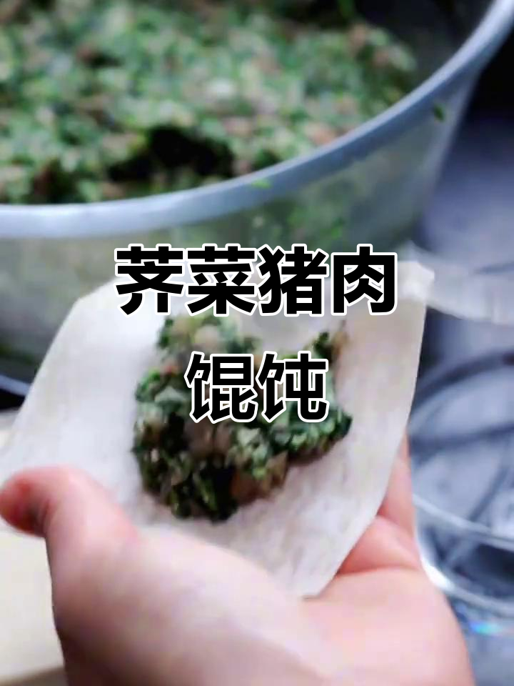 热腾腾荠菜猪肉馄饨,香气扑鼻让人无法抗拒