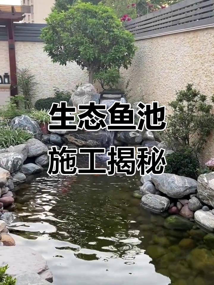 庭院生态鱼池建造全流程，打造自然景观