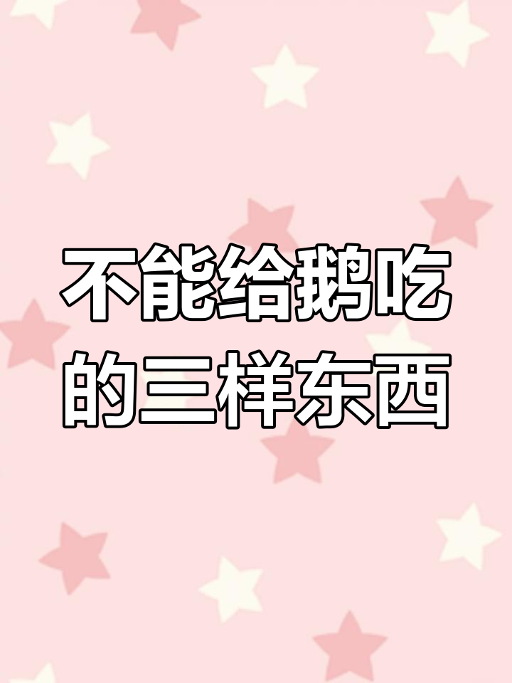 这三种食物对鹅有害,避免喂食