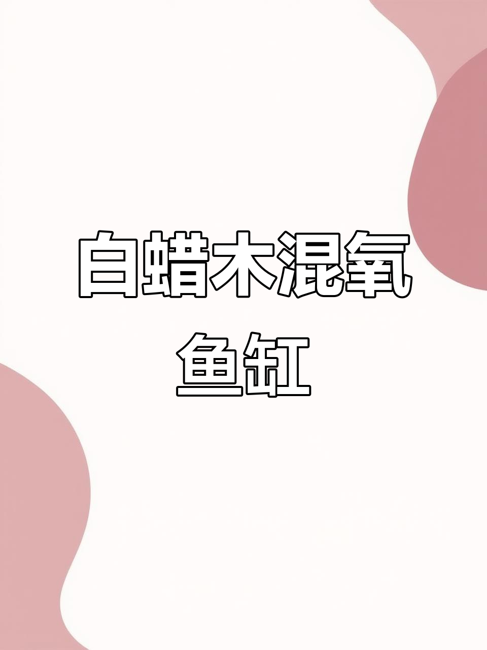 定制2米龙缸,白蜡木与钢架完美结合