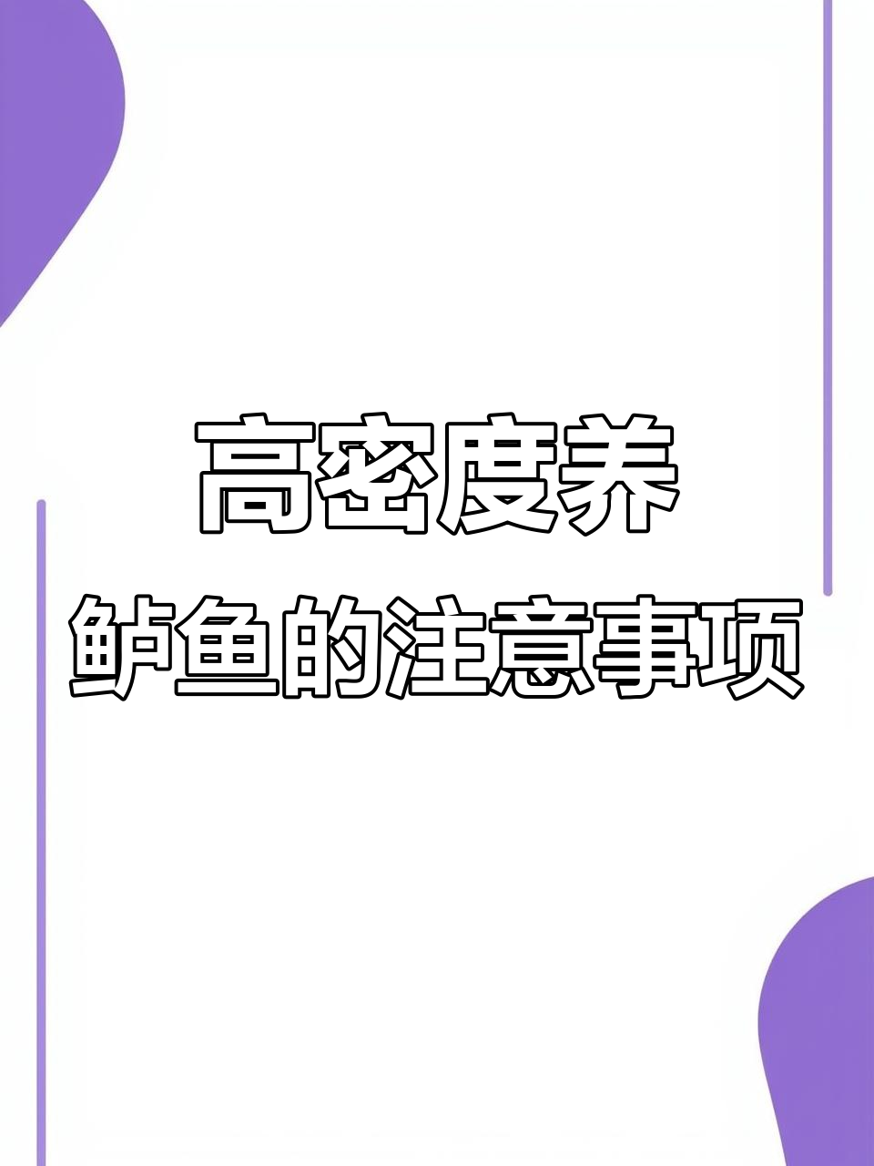 工厂化养殖加州鲈鱼的关键技巧与挑战