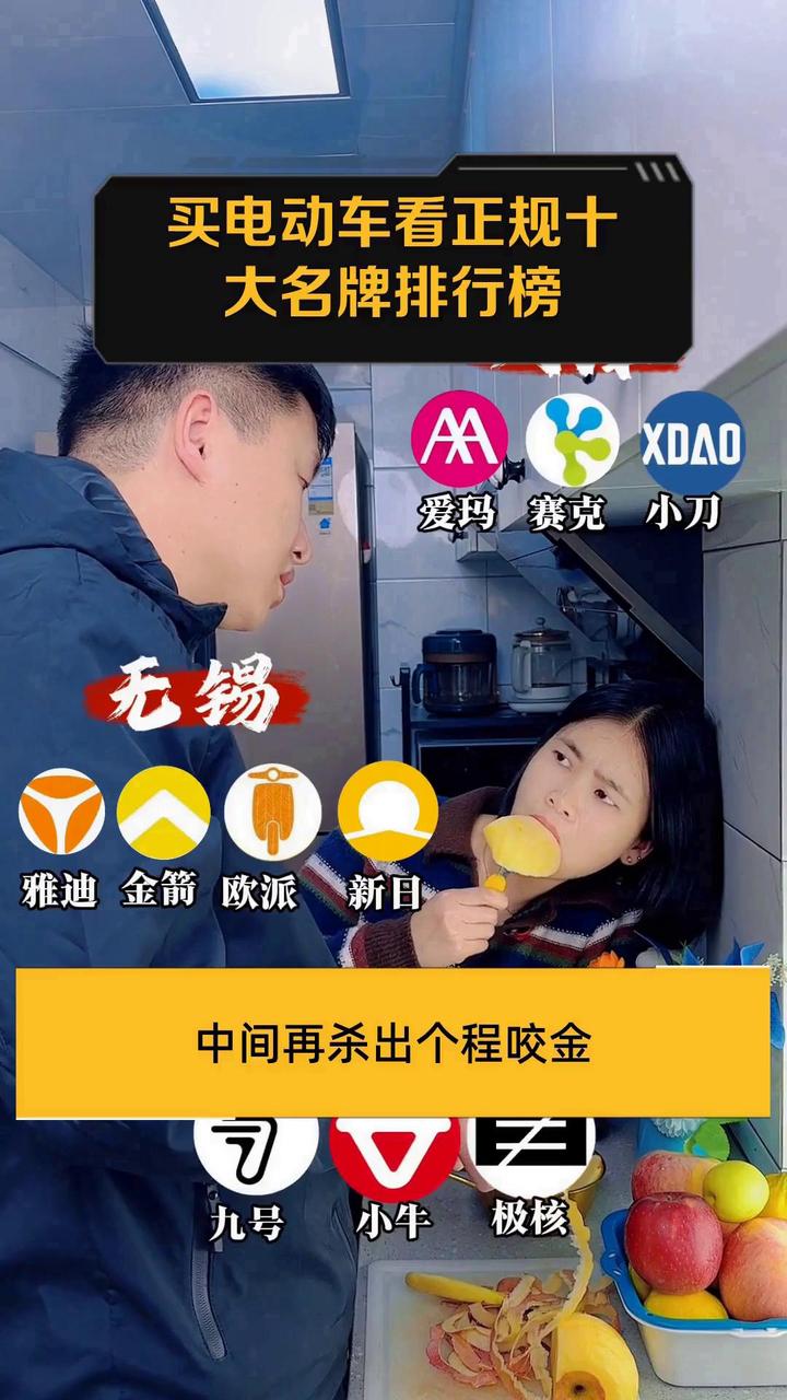 买电动车看正规十大名牌排行榜