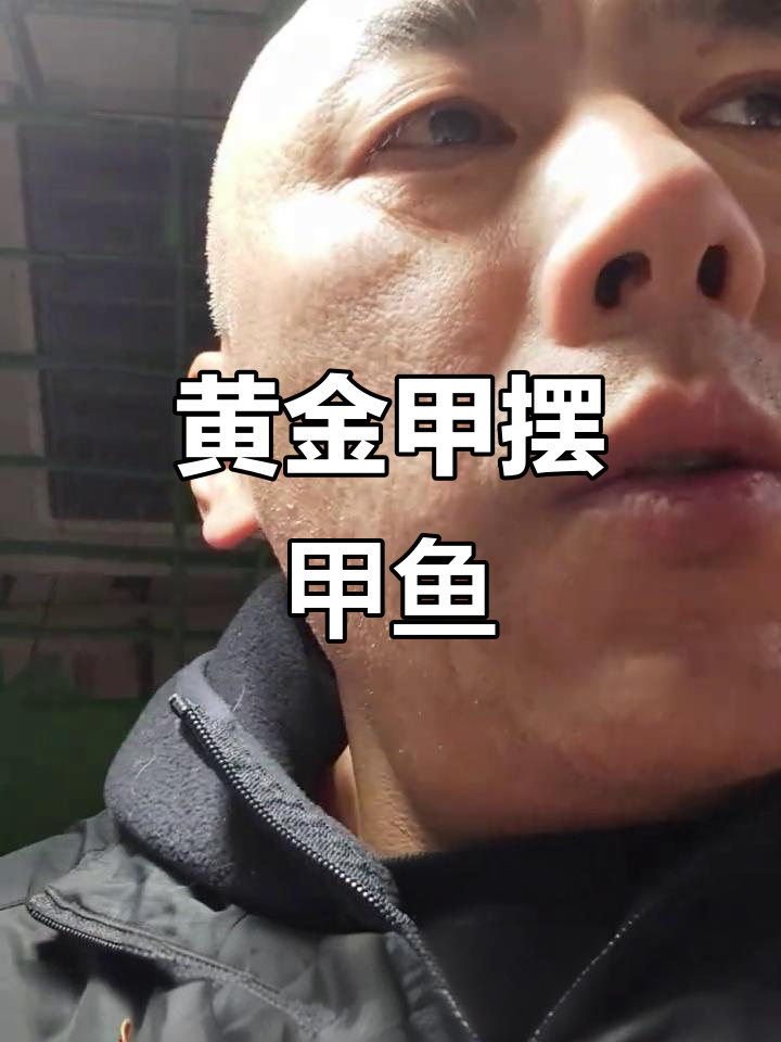 12月特献:你见过黄金甲摆甲鱼吗?味美绝伦!