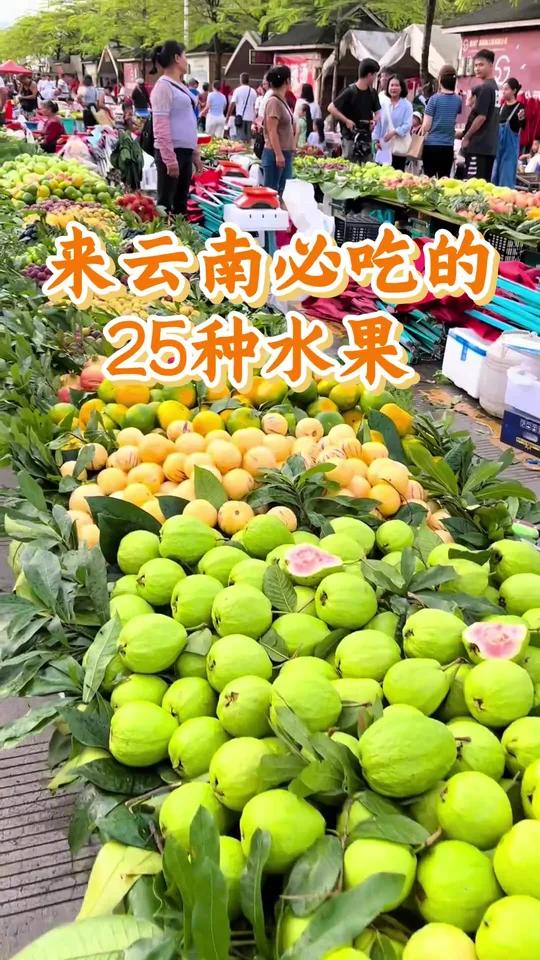 云南特色水果