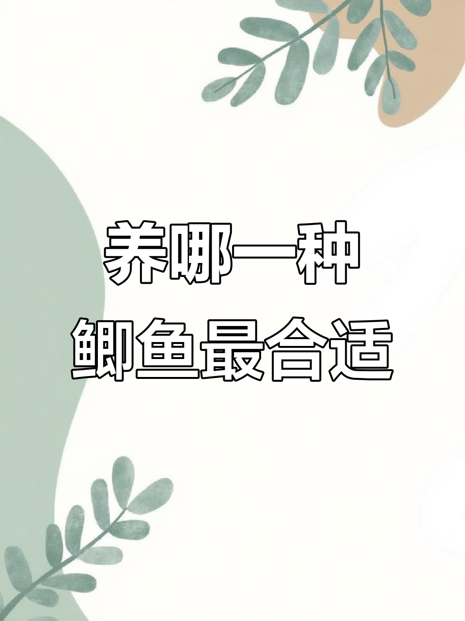 鲫鱼品种大揭秘,哪种最适合你养?