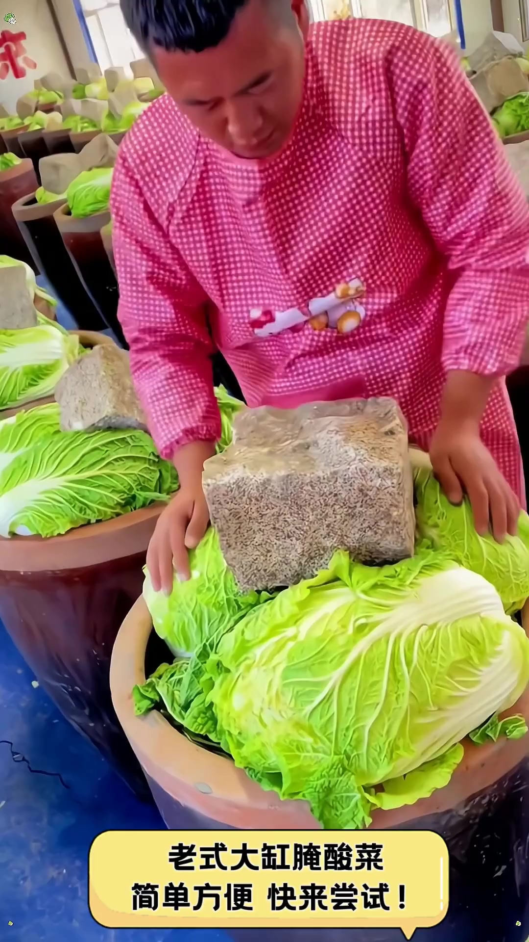 老式大缸腌酸菜,简单方便,快来尝试!