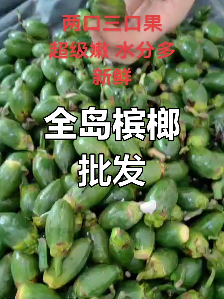 儋州昌江临高槟榔批发,全岛配送无忧